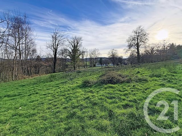 terrain à vendre - 6763.0 m2 - ST SULPICE LE GUERETOIS - 23 - LIMOUSIN - Century 21 La Fontaine Immobilier